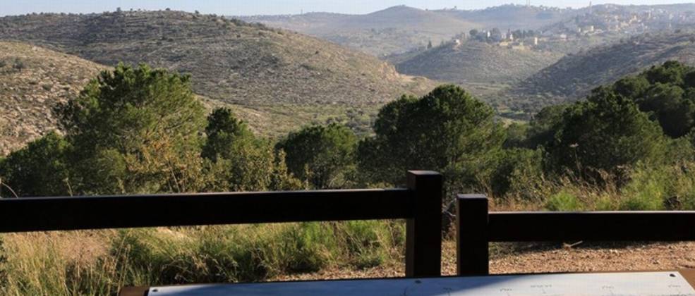 קישור לכתבה בשם טיול חורפי ומואר לחג החנוכה - מסעדות במודיעין טיול חורפי ומואר לחג החנוכה - מסעדות במודיעין