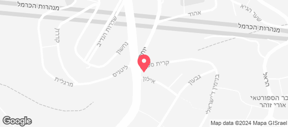 דיוק - מפה