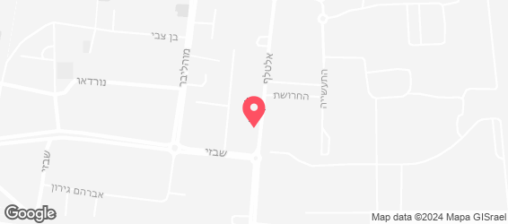 זינק - מפה