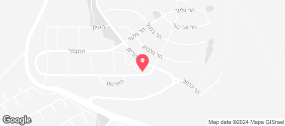 פלרמו פיצה - מפה