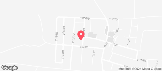 רז הפיצה - מפה