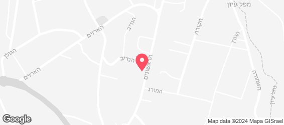 עיוני - מפה