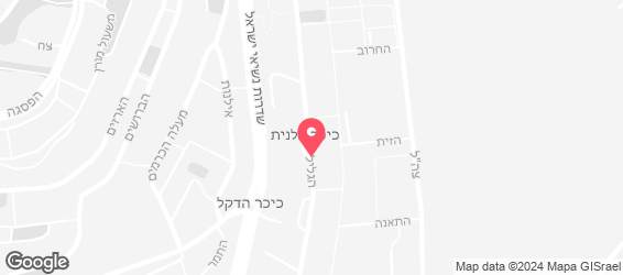 מסעדת אבו נסאר - מפה