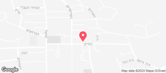 בעיקר סלט - מפה