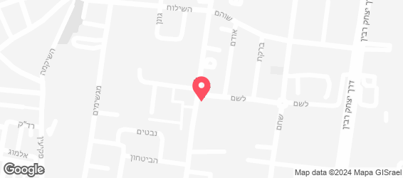 בדיקות SEO ענת - מפה