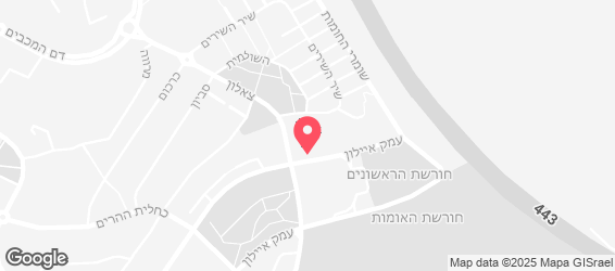 פיצה דומינו - מפה