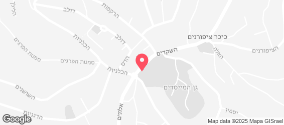 קפה עלמה - מפה
