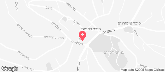 פיצה פדאל קריית טבעון - מפה