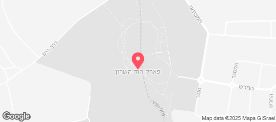 פיצה הביתה - מפה