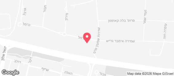 המלך דוד - מפה